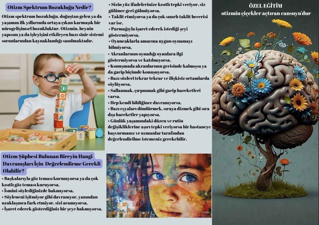 Otizm Spektrum Bozukluğu Broşür 1